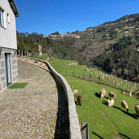Quinta De Varzielas - Agroturismo Каштелу-ди-Пайва Экстерьер фото