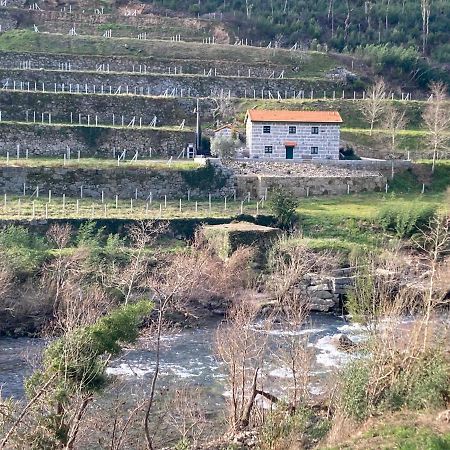 Quinta De Varzielas - Agroturismo Каштелу-ди-Пайва Экстерьер фото