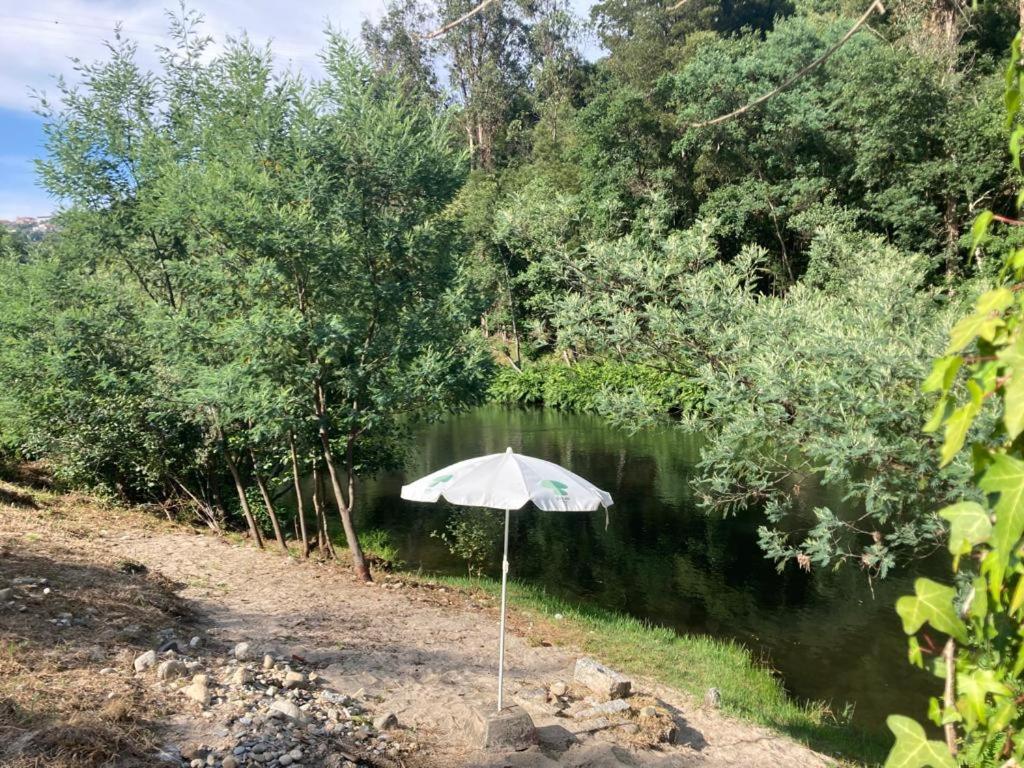 Quinta De Varzielas - Agroturismo Каштелу-ди-Пайва Экстерьер фото
