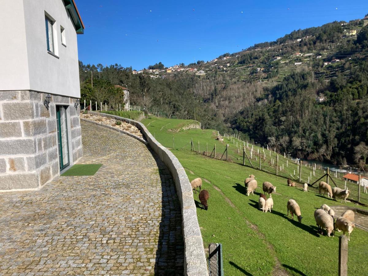 Quinta De Varzielas - Agroturismo Каштелу-ди-Пайва Экстерьер фото