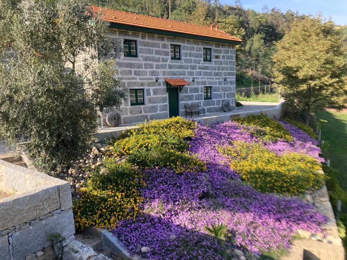 Quinta De Varzielas - Agroturismo Каштелу-ди-Пайва Экстерьер фото